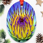 Water Lily Oval Ornament (Two Sides)