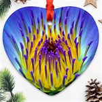 Water Lily Heart Ornament (Two Sides)