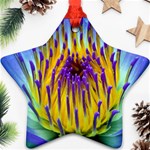 Water Lily Star Ornament (Two Sides)