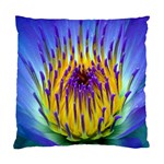 Water Lily Cushion Case (One Side)