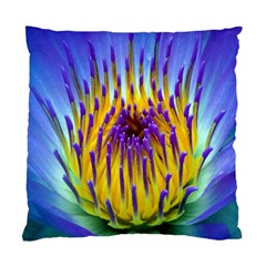 Water Lily Cushion Case (Two Sides) from ArtsNow.com Front