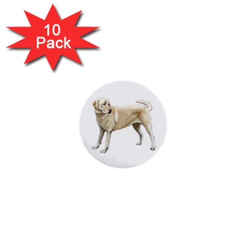 BW Yellow Labrador Retriever Dog Gifts 1  Mini Button (10 pack)  from ArtsNow.com Front