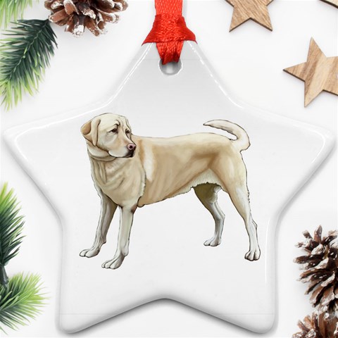 BW Yellow Labrador Retriever Dog Gifts Star Ornament (Two Sides) from ArtsNow.com Front