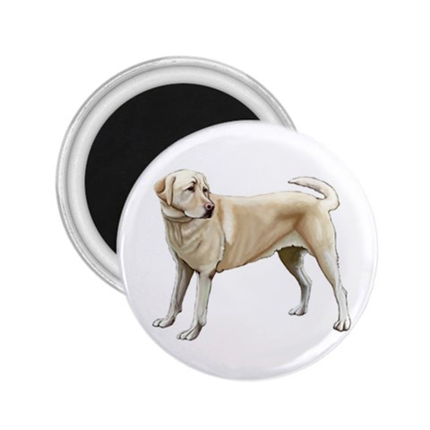 Yellow Labrador Retriever 2.25  Magnet from ArtsNow.com Front