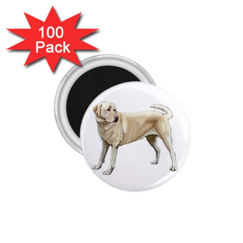 Yellow Labrador Retriever 1.75  Magnet (100 pack)  from ArtsNow.com Front