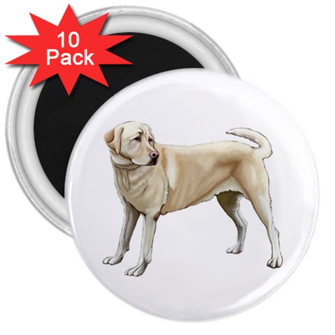 Yellow Labrador Retriever 3  Magnet (10 pack) from ArtsNow.com Front