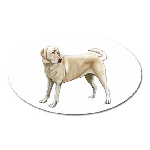 Yellow Labrador Retriever Magnet (Oval) from ArtsNow.com Front