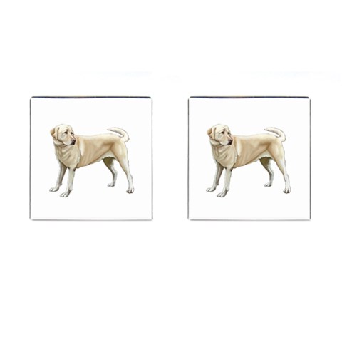 Yellow Labrador Retriever Cufflinks (Square) from ArtsNow.com Front(Pair)