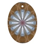 Silver Light Ornament (Oval)