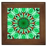 Green Eye Flower Framed Tile