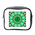 Green Eye Flower Mini Toiletries Bag (Two Sides)