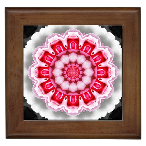 Red Roses Framed Tile from ArtsNow.com Front