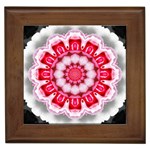 Red Roses Framed Tile