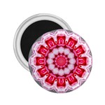 Red Roses 2.25  Magnet