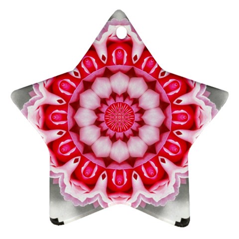 Red Roses Ornament (Star) from ArtsNow.com Front