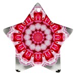 Red Roses Ornament (Star)