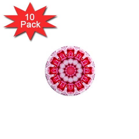 Red Roses 1  Mini Magnet (10 pack)  from ArtsNow.com Front