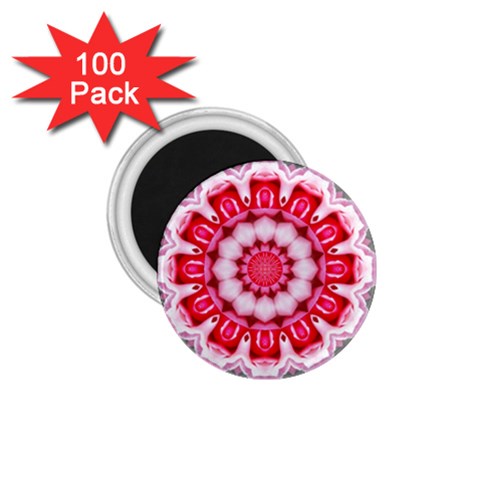 Red Roses 1.75  Magnet (100 pack)  from ArtsNow.com Front