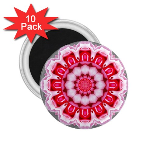 Red Roses 2.25  Magnet (10 pack) from ArtsNow.com Front