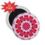 Red Roses 2.25  Magnet (10 pack)