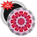 Red Roses 3  Magnet (10 pack)