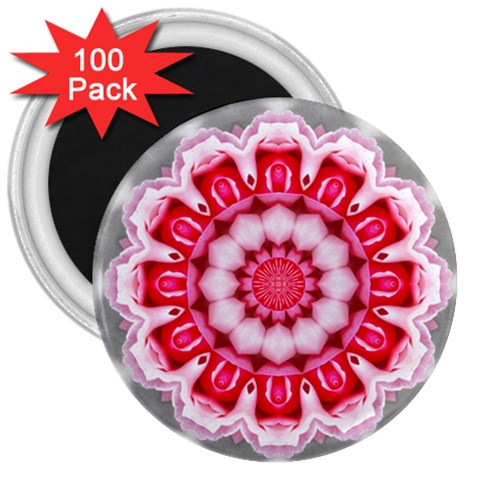 Red Roses 3  Magnet (100 pack) from ArtsNow.com Front