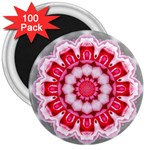 Red Roses 3  Magnet (100 pack)