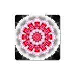 Red Roses Magnet (Square)