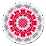 Red Roses Magnet 5  (Round)