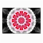 Red Roses Postcard 4 x 6  (Pkg of 10)