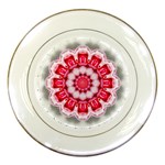 Red Roses Porcelain Plate