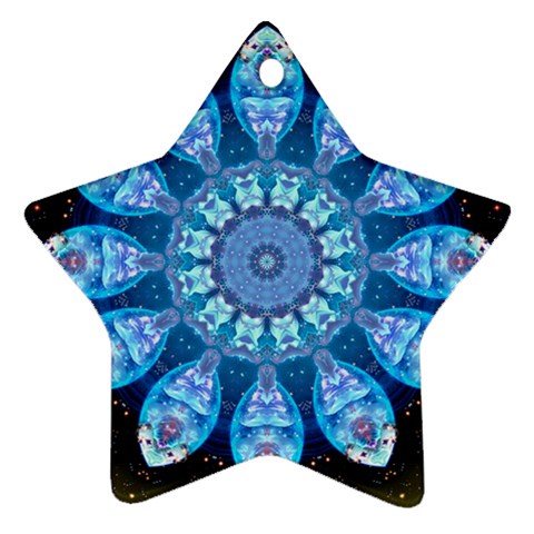 Baby Blue Flower Ornament (Star) from ArtsNow.com Front