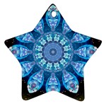 Baby Blue Flower Ornament (Star)