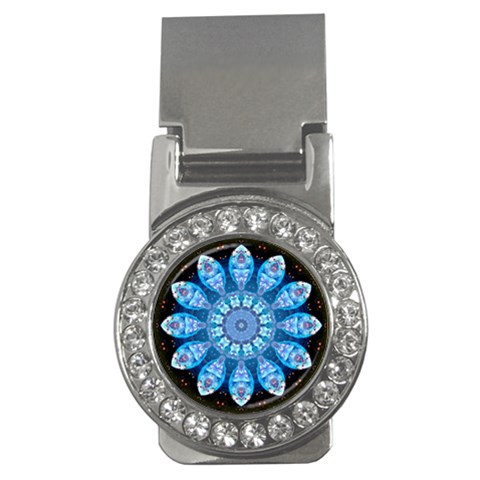 Baby Blue Flower Money Clip (CZ) from ArtsNow.com Front