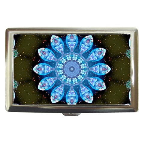 Baby Blue Flower Cigarette Money Case from ArtsNow.com Front