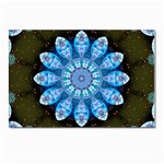 Baby Blue Flower Postcard 4 x 6  (Pkg of 10)