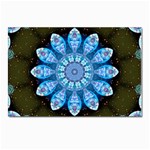 Baby Blue Flower Postcards 5  x 7  (Pkg of 10)