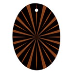 Speed of Light Ornament (Oval)