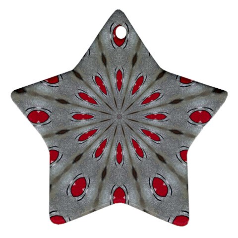 Red Dots on Silver Ornament (Star) from ArtsNow.com Front