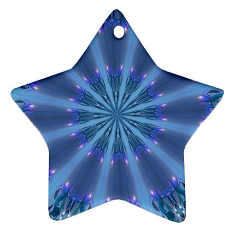 Blue Reflection Ornament (Star) from ArtsNow.com Front