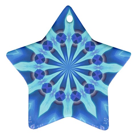 Blue Wheel Ornament (Star) from ArtsNow.com Front