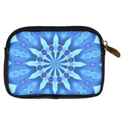 Blue Wheel Digital Camera Leather Case from ArtsNow.com Back