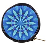 Blue Wheel Mini Makeup Bag