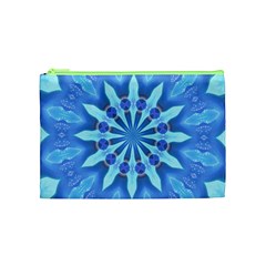 Blue Wheel Cosmetic Bag (Medium) from ArtsNow.com Front