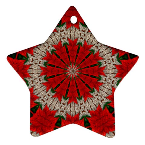 Red Flower Ornament (Star) from ArtsNow.com Front