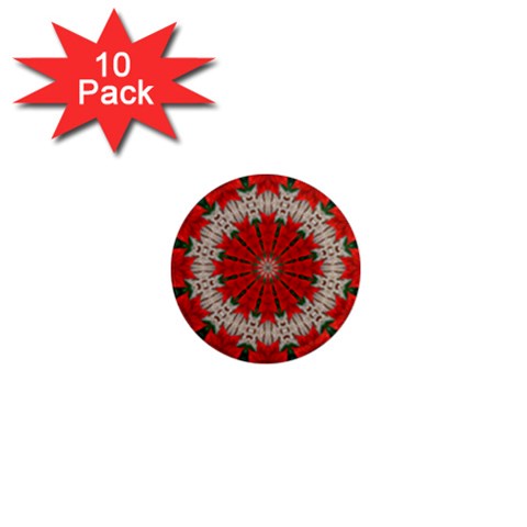 Red Flower 1  Mini Magnet (10 pack)  from ArtsNow.com Front