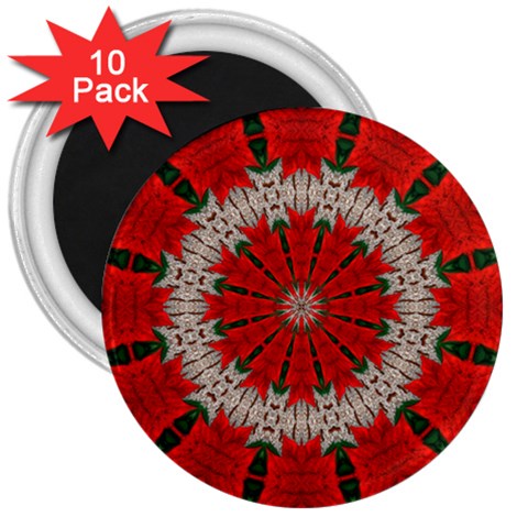 Red Flower 3  Magnet (10 pack) from ArtsNow.com Front