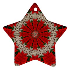 Red Flower Star Ornament (Two Sides) from ArtsNow.com Front