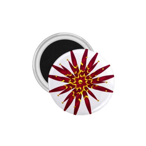 Burgundy Gold Flower 1.75  Magnet from ArtsNow.com Front