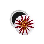 Burgundy Gold Flower 1.75  Magnet